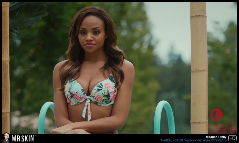 Meagan Tandy culottes 85